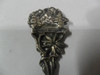 Cuchara Cucharita Coleccion Suiza Switzerland Relieve 4