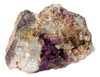 Eritrina - Ixtlan Minerales 0