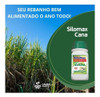 Inoculante Para Silagem De Cana 200g(matsuda)envio Imediato! 2