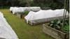 Tela Anti-heladas, Rollo 2mts X 500 Mts. Viveros Agro 3