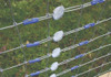 Tensor Gripple Plus Small Alambre 1