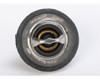 Termostato Renault Clio 2