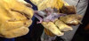 Solucion Murcielagos En Viviendas. Remove Bats Matra X 1 Kg 3