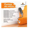 Pincel 20 Sinteplast Serie 304 - Proxecto 3