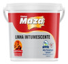 Verniz Intumescente Base Agua Fosco 3.6 L Maza Com Laudo 0