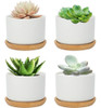 Macetas Para Plantas Suculentas Blancas Warmplus - Mini Mace 0