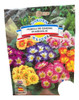 Semillas Flores - Primula - Envíos 0