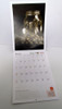 Revista Jardin Calendario 2015 Boedo Capital 1