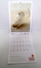 Revista Jardin Calendario 2015 Boedo Capital 3