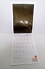 Revista Jardin Calendario 2015 Boedo Capital 4