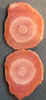 Par De Estalactitas De Rodocrosita Rosa Del Inca 3 Par De Estalactitas De Rodocrosita Rosa Del Inca 3