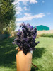 Lavanda Flores Secas Patagonia 0