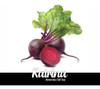 Sementes Beterraba Katrina 100g Feltrin 1