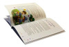 Livro Infantil Descobrindo Valores: Respeito Oferta 3