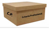 Criterio Profesional 0
