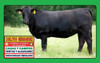 Campo Estancia Lavalleja Venta 2000 Ha + 2800 + 2500 + 6600 0