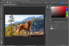 Video Curso Photoshop Desde Cero 2023 5
