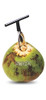 Herramienta Para Abrir Coco (agua De Coco) Acero Inoxidable 1