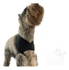 Protector De Hombros Perro Talle Xl 1