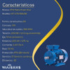 Motor Trifásico 0.75hp 1500rpm B3 Con Patas Uso Continuo 2