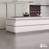 Porcelanato Ilva Marmi Fiume 1ra Pulido 60x60 1