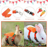 Arnés Y Correas Ajustables Para Pequeños Animales Como Conej 3