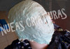Alginato De Impresion Cromatico 2