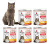 Alimento Humedo Gatos Adulto Sieger Lata Pollo 340g X5 0