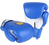 Cheerwing Guantes De Boxeo Para Niños, Guantes De 2