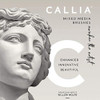 Callia Artist Brushes Juego De Pinceles Para Mezclar, Aprend 4