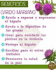 Cardo Mariano  X 500gr  Distribuidora Lunic Nuevo Ingreso 1