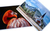 Revelado E Impresión De Fotos 15x21 X 4 Un. Envio En El Día 0