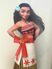 Piñata De Moana 1