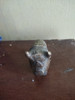 Torito Antiguo Bronce Colonial 3