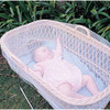 Red De Insectos Dreambaby 4 Red De Insectos Dreambaby 4