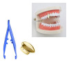 1 X 14 K Oro Fang Vampiro Dientes Caninos Cap Grillz Hip Hop 4