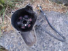 Tapa Motor Yumbo C 110 Con Bobinas De Encendido Func. 2