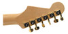 Sintonizadores De Autoajuste Planet Wave, 6 Configuraciones 1