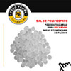 Sal Polifosfato Siliphos Aleman X 5kilos Filtro Boya Sarro C 5