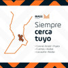 Volante Musical Interactico Playgro 184477 4