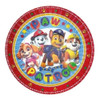 Cotillón Paw Patrol 20 Niños,piñata,vaso,mantel,plato 6