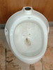 Mingitorio Urinario Oval Roca Blanco 3