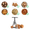 Anwenk Nut Cracker - Galleta De Nogal Negra De Acero Inoxida 1