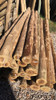 Palos Curados 0