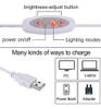 Lámpara De Escritorio Led, Raoyi 5w Usb Clip On Light Lámpar 2