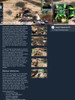 Command & Conquer 3 : Tiberium Wars - Pc #17551 1