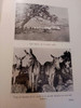 Revista Amigos De La Arqueología, Arredondo,santa Teresa 3