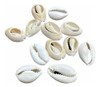Buzio Cortado Deco Bijoux Trencitas  500 Grs.  Oferta! 2