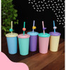 Vaso Plástico 300cc X15u Sorbete Reutilizable Y Aplique Sorb 2
