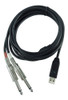 Cabo Interface Line 2 Usb Behringer P10 3